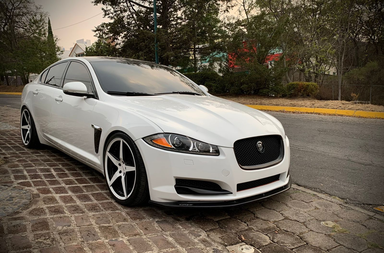 WhatsApp Image 2025-10-01 at 14.10.33 (3)