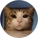 Alettia Muro profile picture